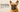 French Bulldog Grooming Guide: Ears, Wrinkles, Nails & More
