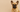 How Often Should You Bathe a French Bulldog