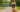 Traveling with Your Frenchie: Road Trip & Flight Tips